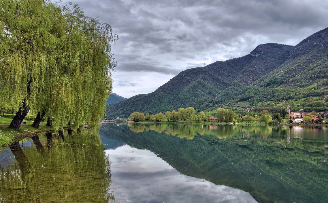 I fold my legs like sullen roots
Sit under the falling grace of your wisps

As I spill to earth with you
You show me the beauty in weeping with the wind

#vss365 #prompt #beauty

📷 Pixabay