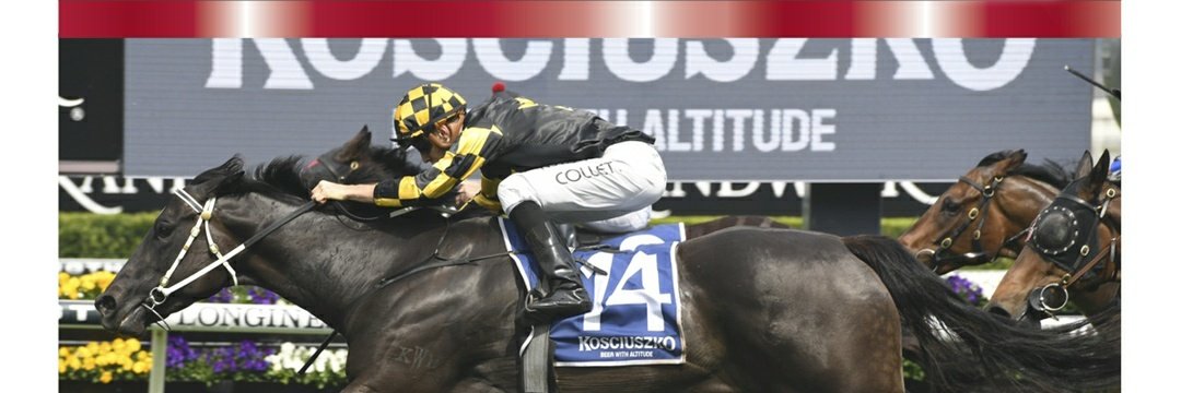 GregJam64049483's tweet photo. October trial results
Starters 24
Winners 5
Seconds 7
Thirds 4
Plus 3.70 units
#happyenough #happypunting https://t.co/xLKvTitLky
