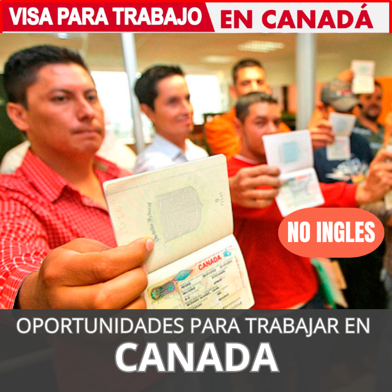 Diarioempleoss's tweet photo. 🔴 APLICA Hoy CANADA busca Personal LATINO.

✅ MAS INFORMACION AQUI⤵