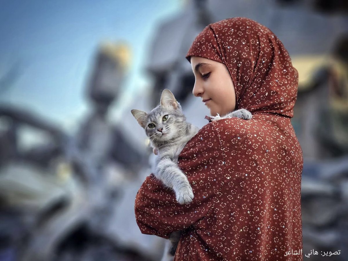 Anarchillect tweet media