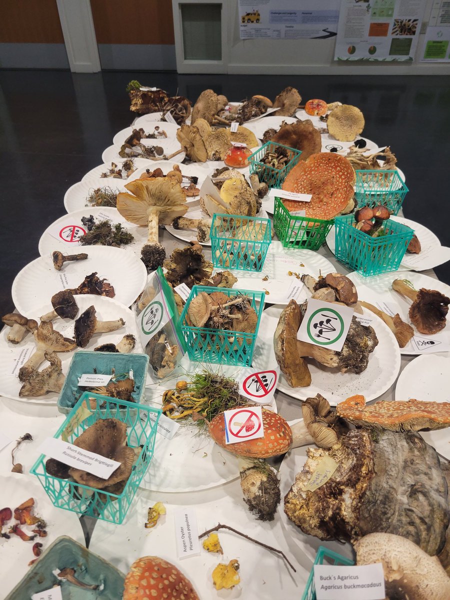 AlpineTruffle's tweet photo. Wild Mushroom Days at University of Washington Tacoma. https://t.co/hkJ7b8JCdO