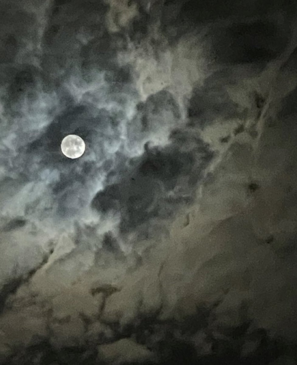 عبدالعزيز الرويلي tweet media