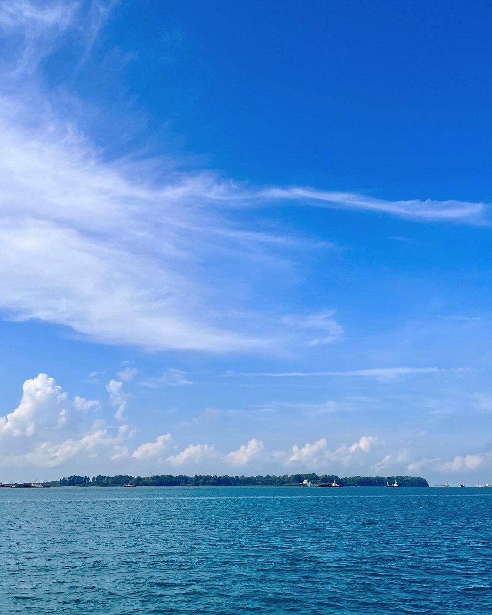 Walter Dellisanti, PhD 🪸🔬🤿 tweet media