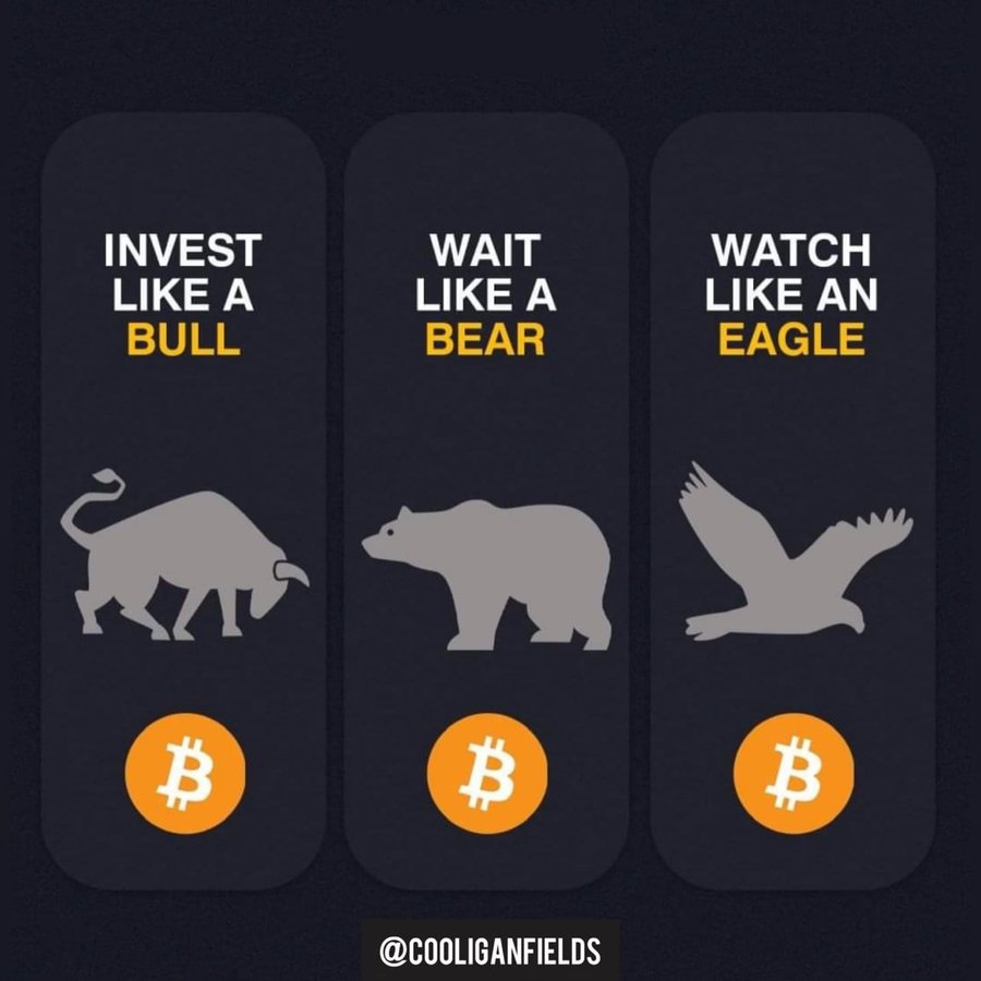 TheBitcoin__'s tweet photo. Don't be shaken by the market's ups and downs. 
Stay strong and keep stacking those sats!#Bitcoin https://t.co/L25nc5GUNF