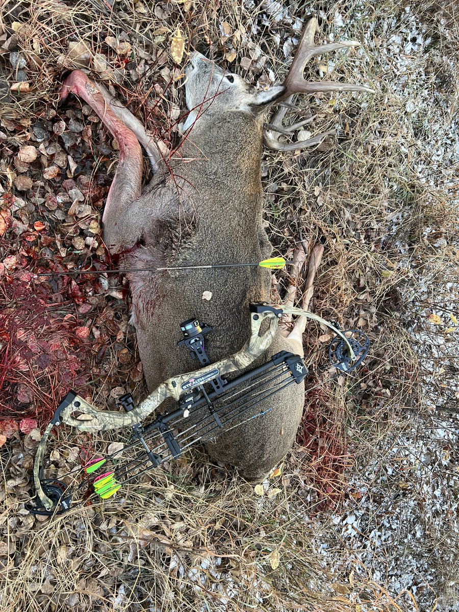 saskhuntsman tweet picture