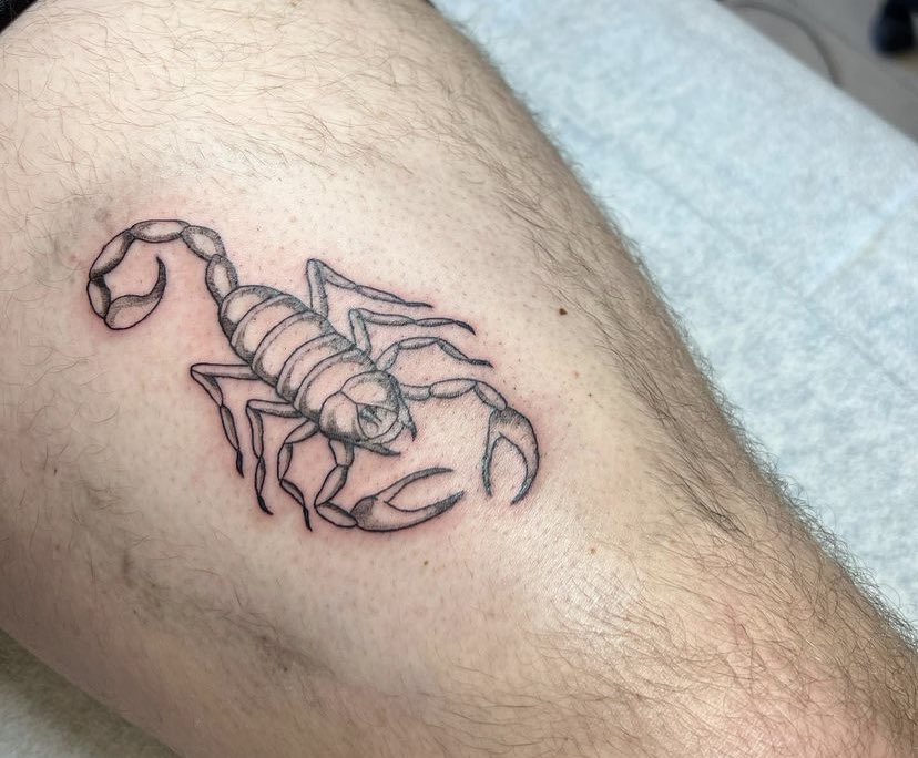 fr0gnbug's tweet photo. here is a better photo of the scorpion https://t.co/oQUEagdECS