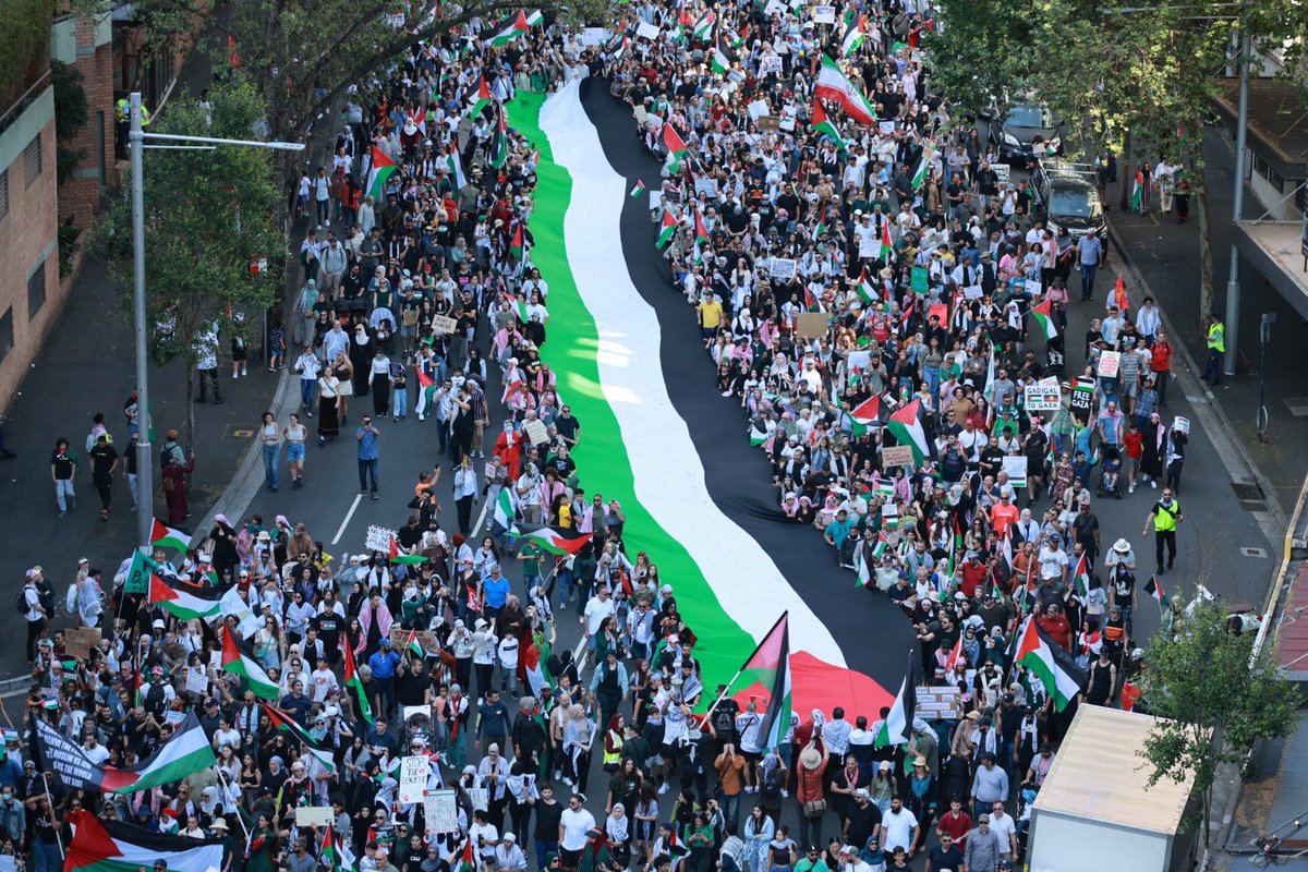 David Warwick-Smith tweet media