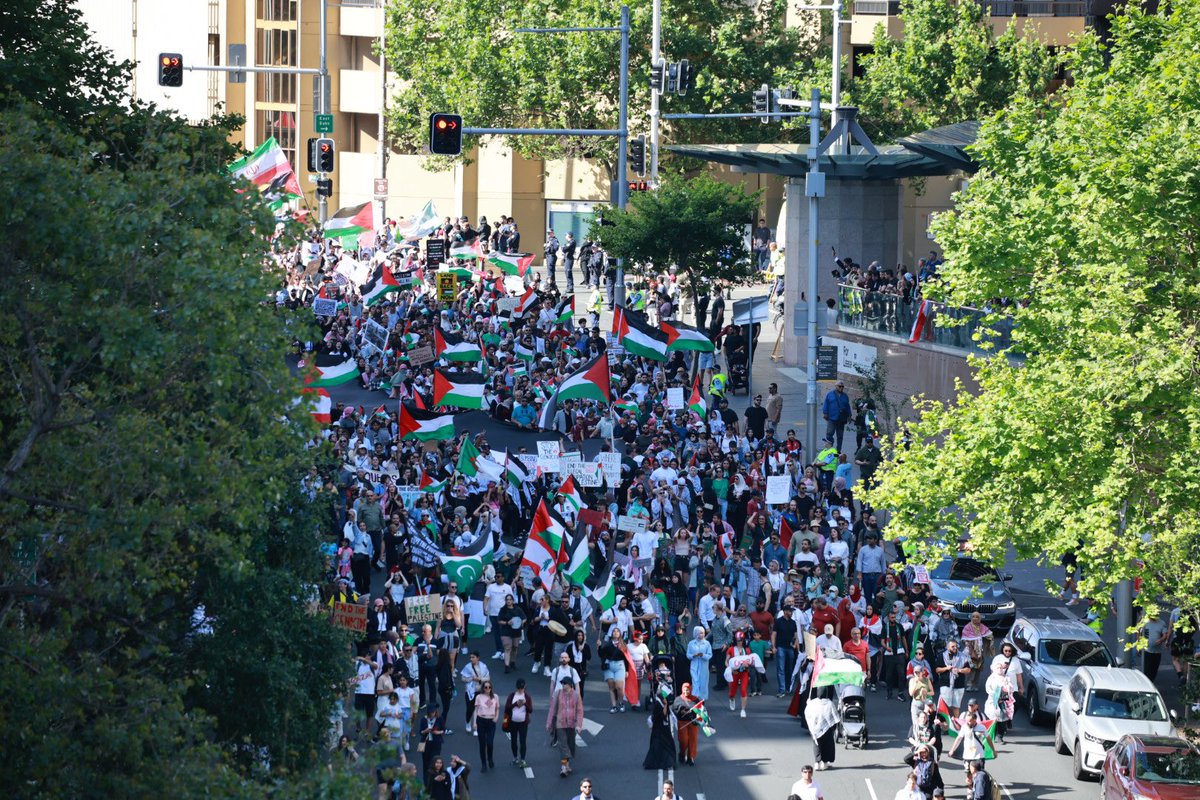 David Warwick-Smith tweet media