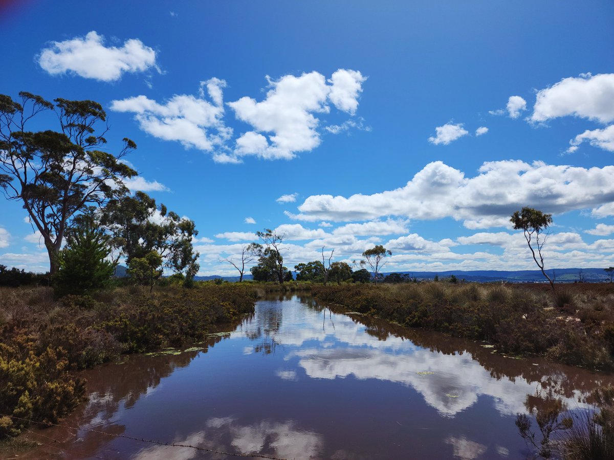 Reflection 🌞 

#sevenmilebeach #reflection #tasmania #sunny #digitalart