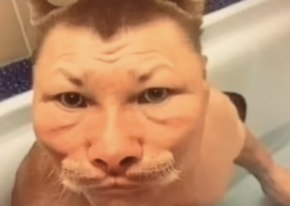 DomHasGun's tweet image. 