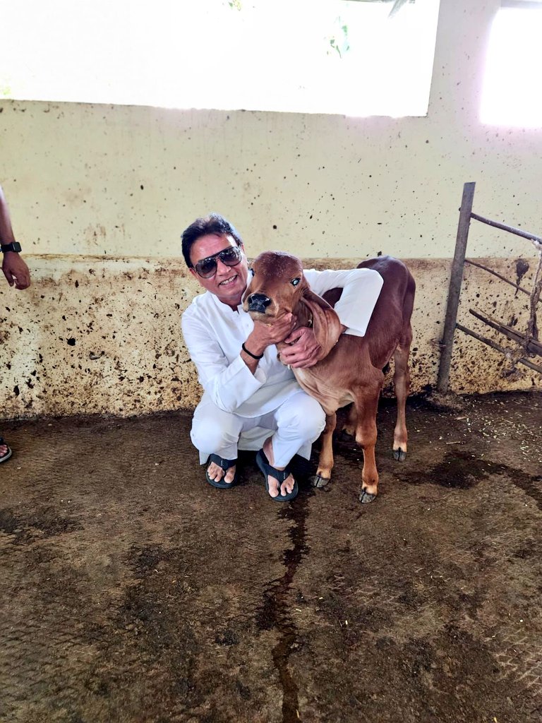 MuzaffarHussain's tweet photo. Gir cow my strength in organic farming. We get all organic fertilizer and pesticides from cows urine, cowdunk, buttermilk, ghee and their undoubted love & affection.
#GirCows #Cow #OrganicFood #CowGhee #Farming #Agriculture #AsmitaOrganicFarm #Nagpur #MuzaffarHussain https://t.co/BaMbXDGyoW