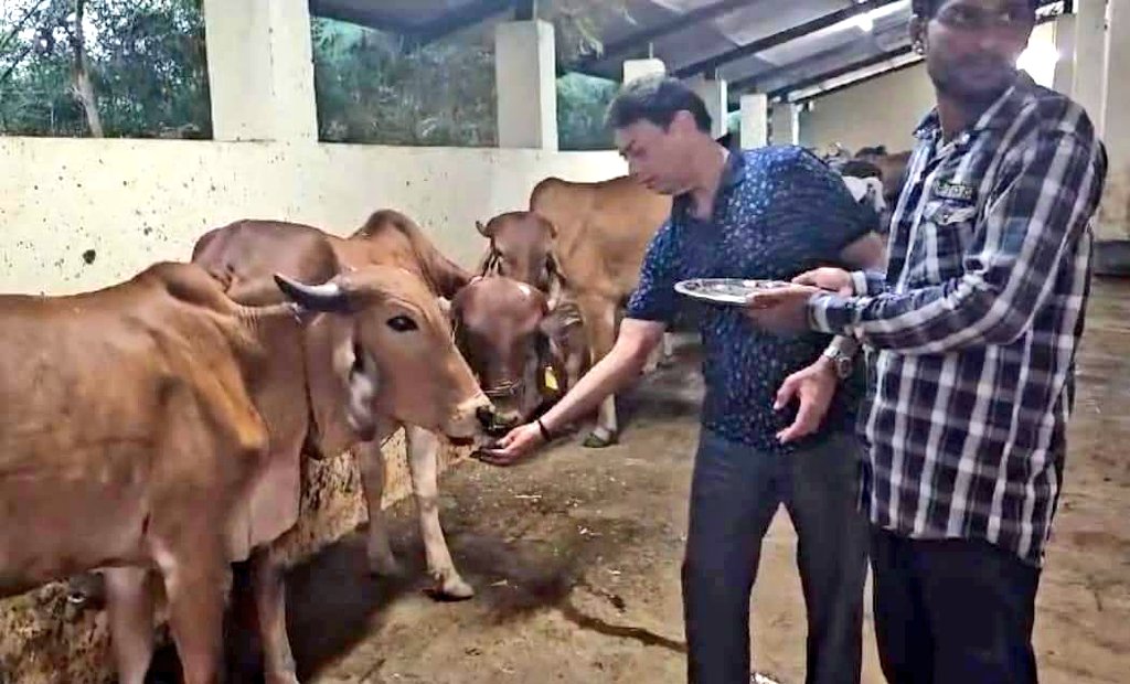 MuzaffarHussain's tweet photo. Gir cow my strength in organic farming. We get all organic fertilizer and pesticides from cows urine, cowdunk, buttermilk, ghee and their undoubted love & affection.
#GirCows #Cow #OrganicFood #CowGhee #Farming #Agriculture #AsmitaOrganicFarm #Nagpur #MuzaffarHussain https://t.co/BaMbXDGyoW