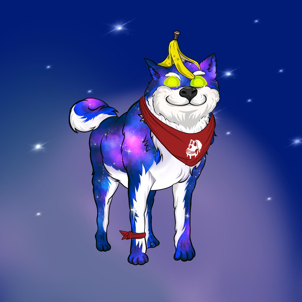 sol barreto tweet media