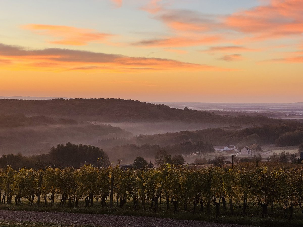 Early bird catches the greyline DX #cqww #hamradio #meaningfulquotes