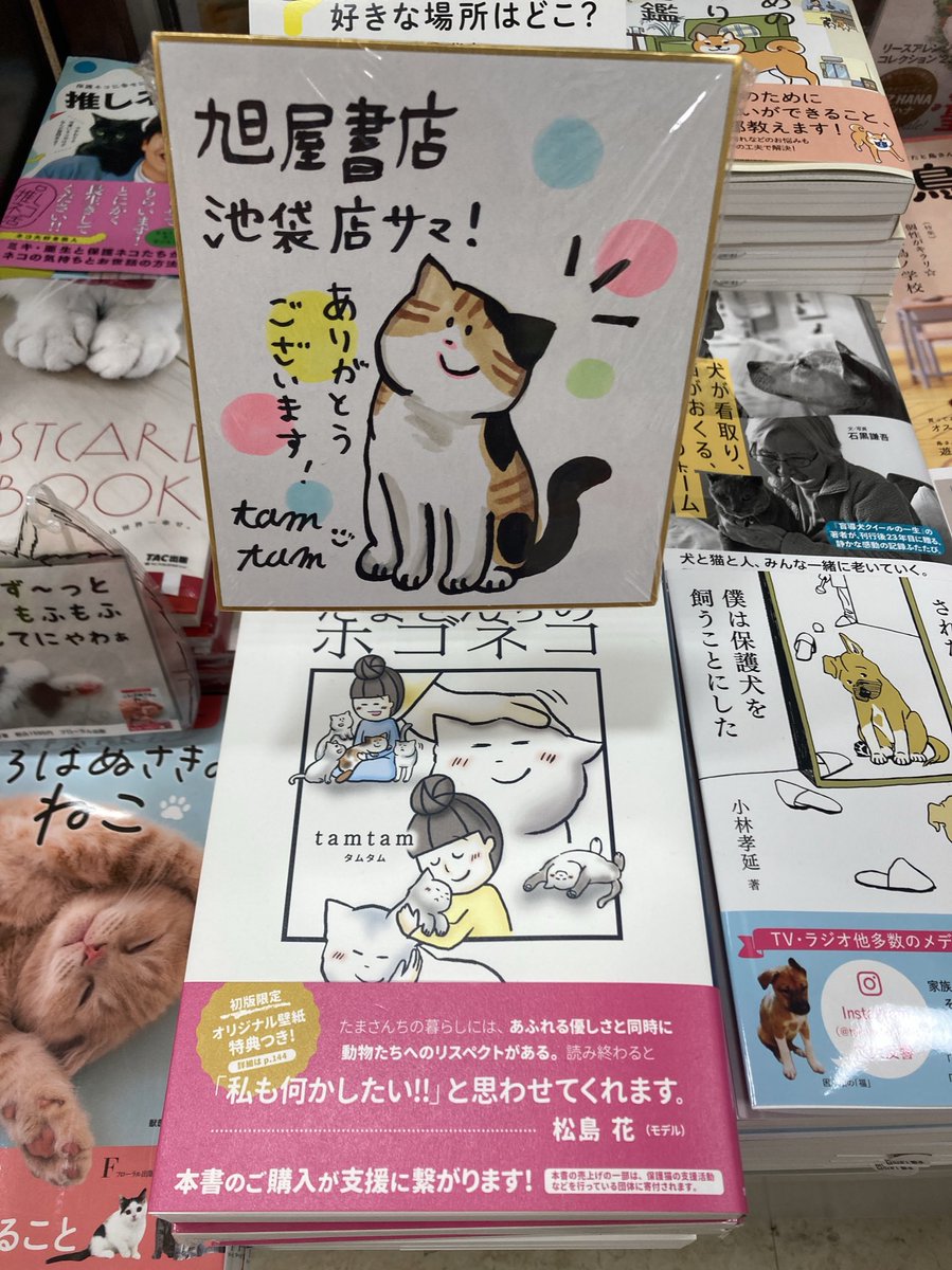 新刊のご案内📖 𓂃𓈒 𓂂𓏸

『たまさんちのホゴネコ』
#tamtam

これまで一緒に暮らした6匹の猫ちゃんについて、コミックエッセイの形で綴られています🐱B2401ペットコーナーにございます。いただいた可愛い直筆色紙が目印です！

#世界文化社