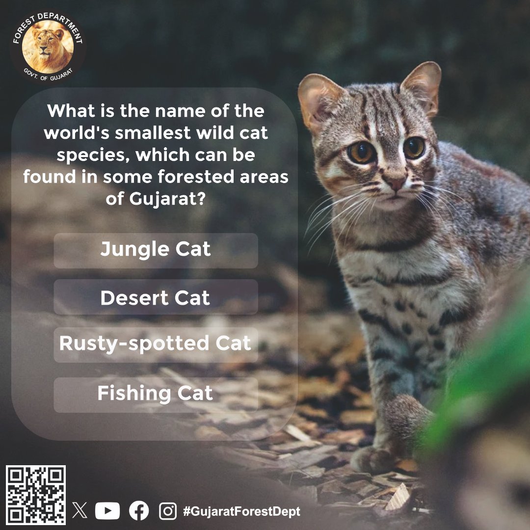 GujForestDept's tweet photo. Let's get quizzical about these captivating creatures - Cat Quiz time!
#catquiz
#catsofinstagram
#catknowledge
#QuizTime https://t.co/oDj98RqnR5