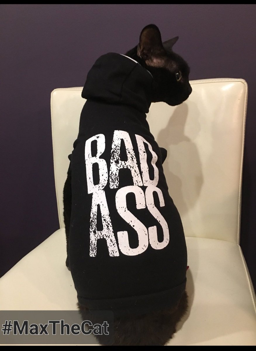 JanetDBrya85184's tweet photo. @VintageWingnut1 Matt needs a hot oil treatment asap.
Max's was a bad ass cat. 🐈⬛️ 😍
#MaxTheCat 🥰😘 https://t.co/8pusghhoxC