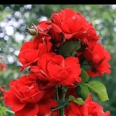 Heavin69's tweet image. Friends create a circle of trust and loyalty.