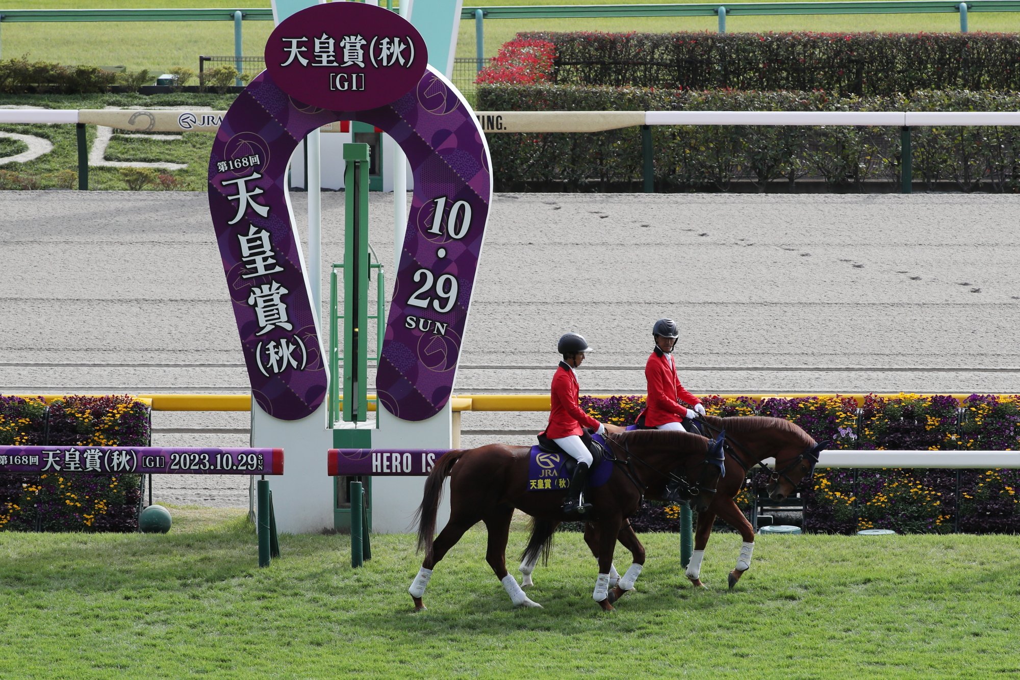 JRA-VAN公式 on X: 