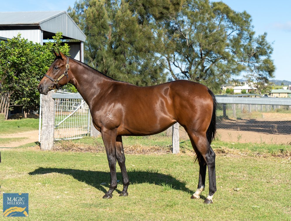 anz_news's tweet photo. HEAVENLY CHOICES (3 f Divine Prophet - Picapub) is too good for them and wins at start number three at @SCTurfClub 👏
The homebred filly gives @HighviewStud sire DIVINE PROPHET (Proisir) his 69th three-year-old winner 🥇
📷 @mmsnippets https://t.co/6HDQu60olb