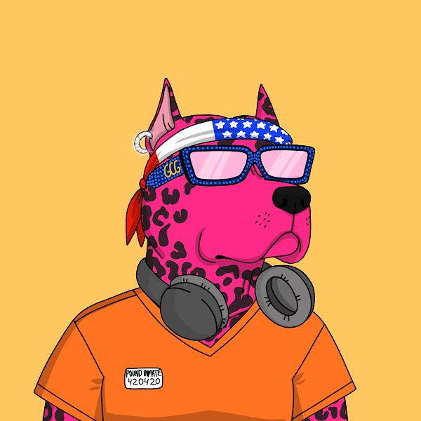 tylor dnaiel tweet media