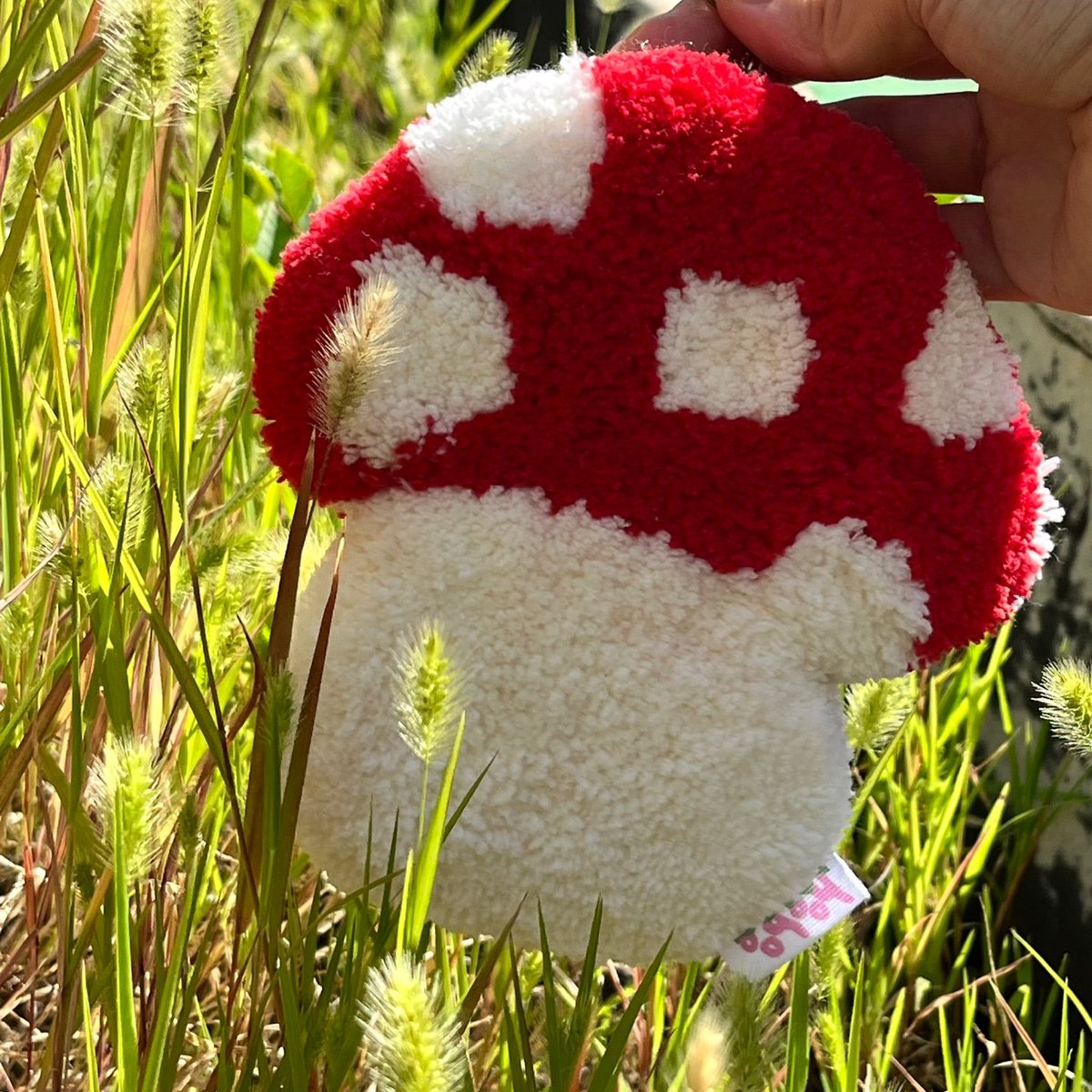 📌배송공지

1차 배송을 완료했습니다!!
송장번호는 윗치폼을 통해 확인하실 수 있습니다ꯁ.̮ꯁ

혹시나 따로 확인이 어려우신 분은 DM으로 연락주세요🫶🏻