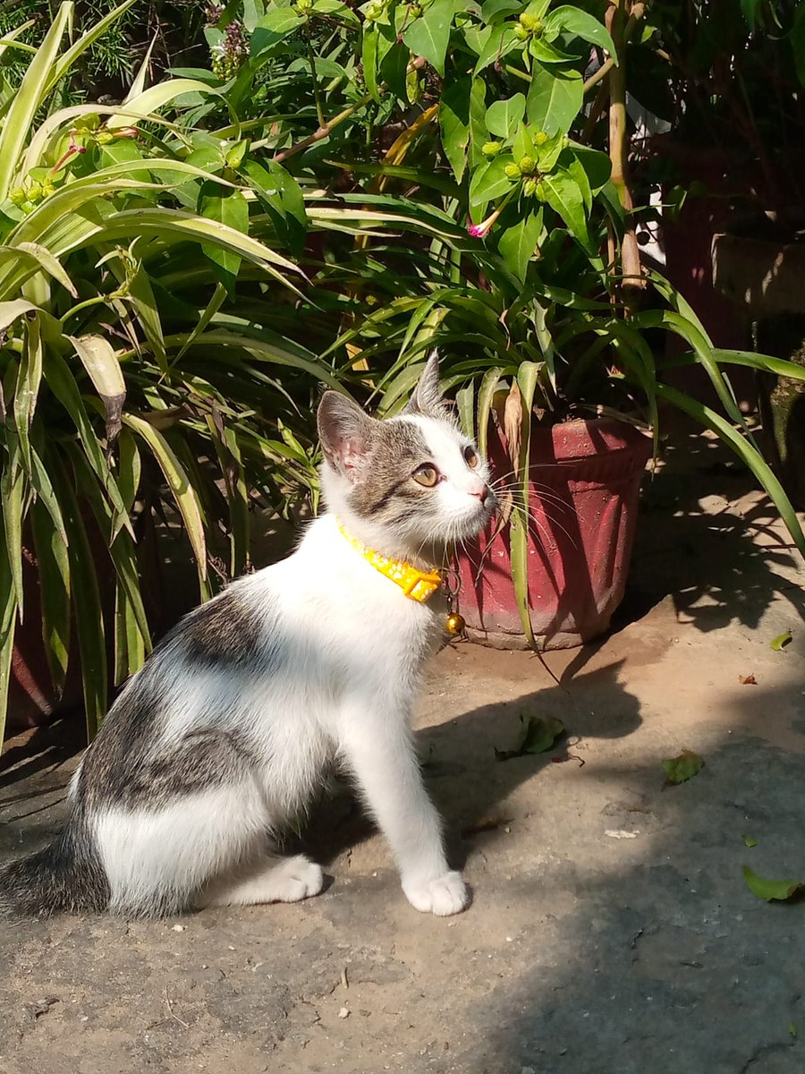 Adam50587016's tweet photo. https://t.co/1smEaCBmvi