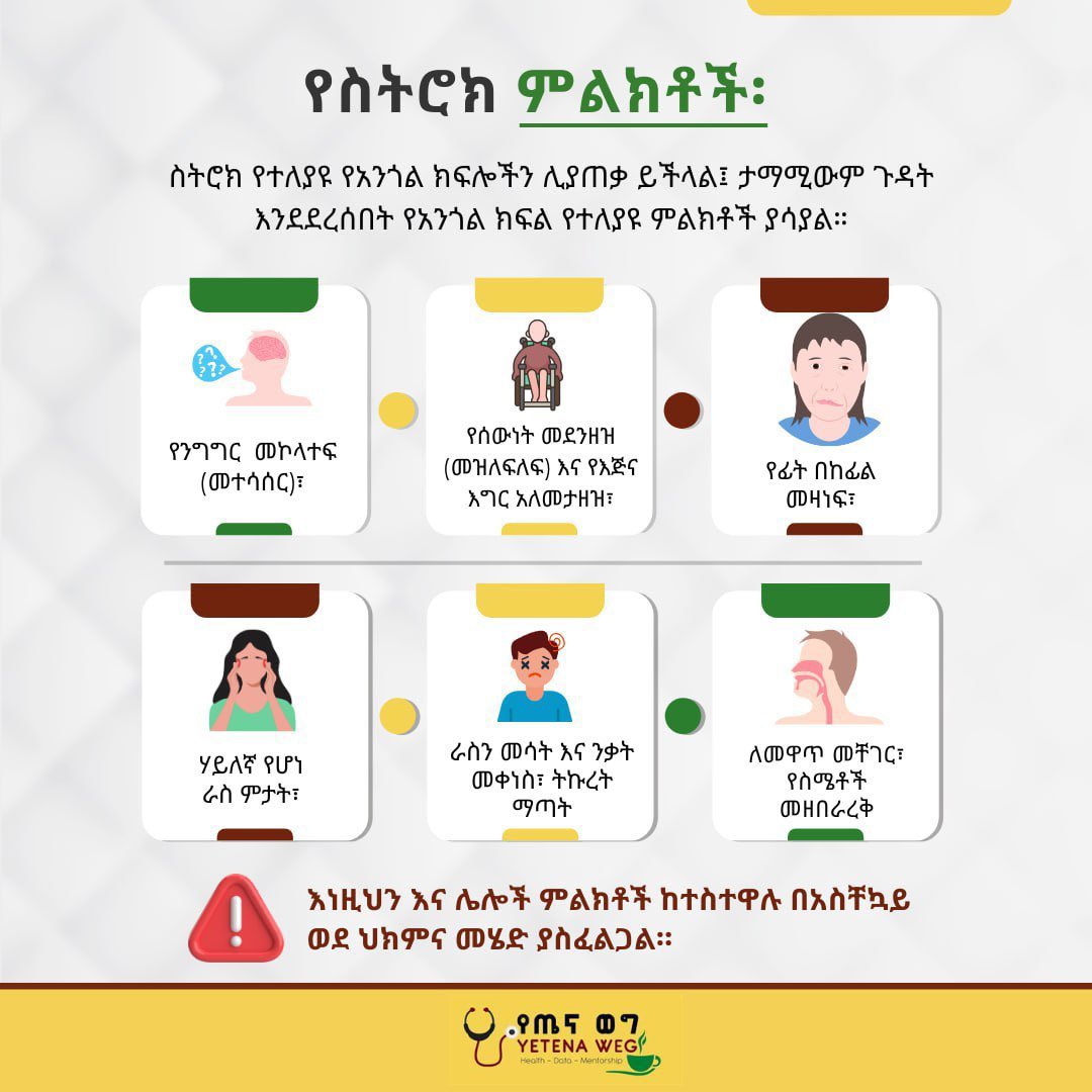 🧠የአለም የስትሮክ ቀን!!

👉 የስትሮክ አይነቶች ምንድን ናቸው?

👉 ሊታዩ የሚችሉ ምልክቶች እና መከላከያ መንገዶቹስ ምንድን ናቸው?

🧠 ስትሮክ አጣዳፊ የሆነ የአንጎል ስራ መታጎል ሲሆን የሚከሰተውም ወደ አንጎል የሚሄደው ደም ሲገታ ነው።

▶️