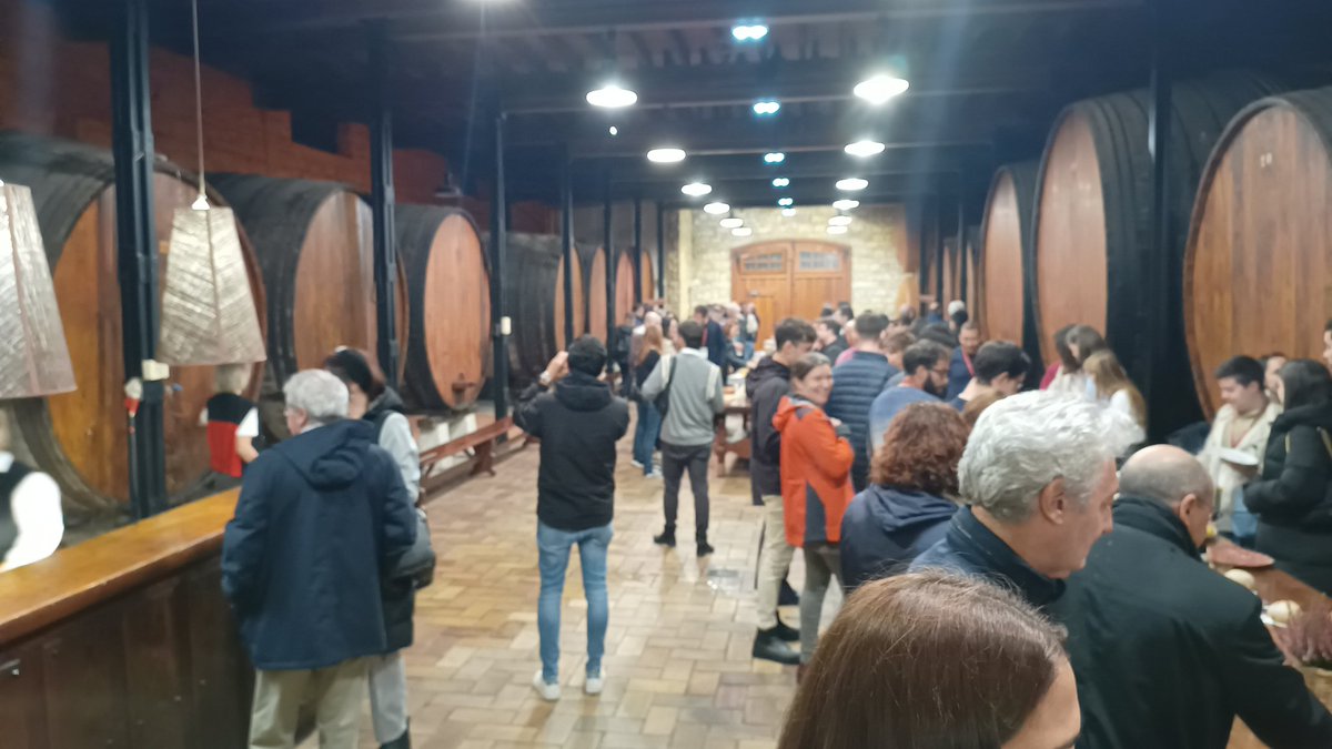 E3Cat-Electrocatalysis for Energy and Environment tweet media