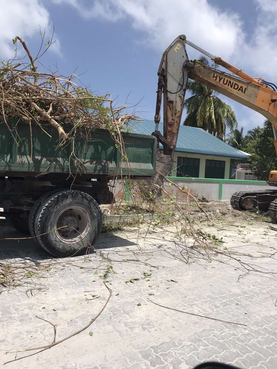 iharfa's tweet photo. Mature Trees getting uprooted in S.Hulhudhoo near Hulhudhoo School.
#MvTreeGrab https://t.co/zzb8zfVdLx
