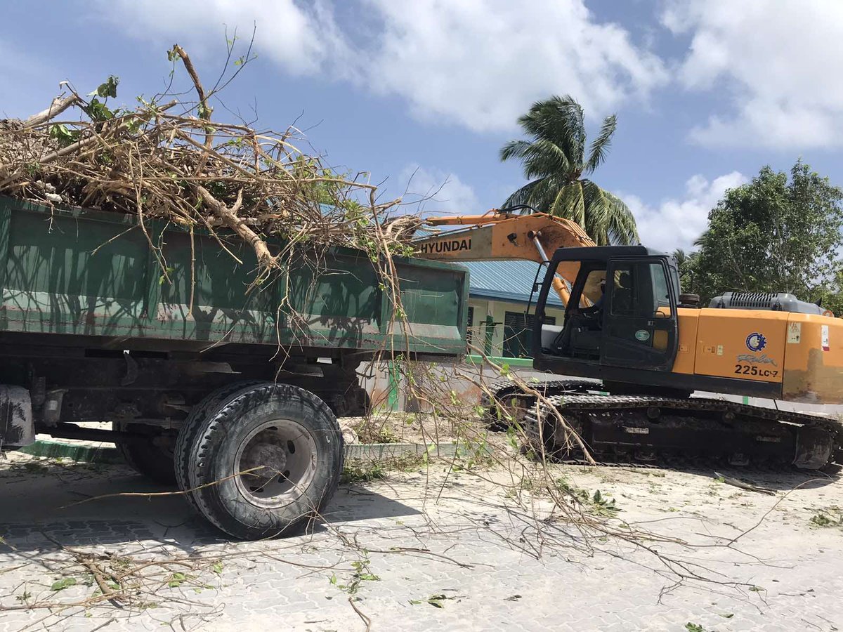 iharfa's tweet photo. Mature Trees getting uprooted in S.Hulhudhoo near Hulhudhoo School.
#MvTreeGrab https://t.co/zzb8zfVdLx