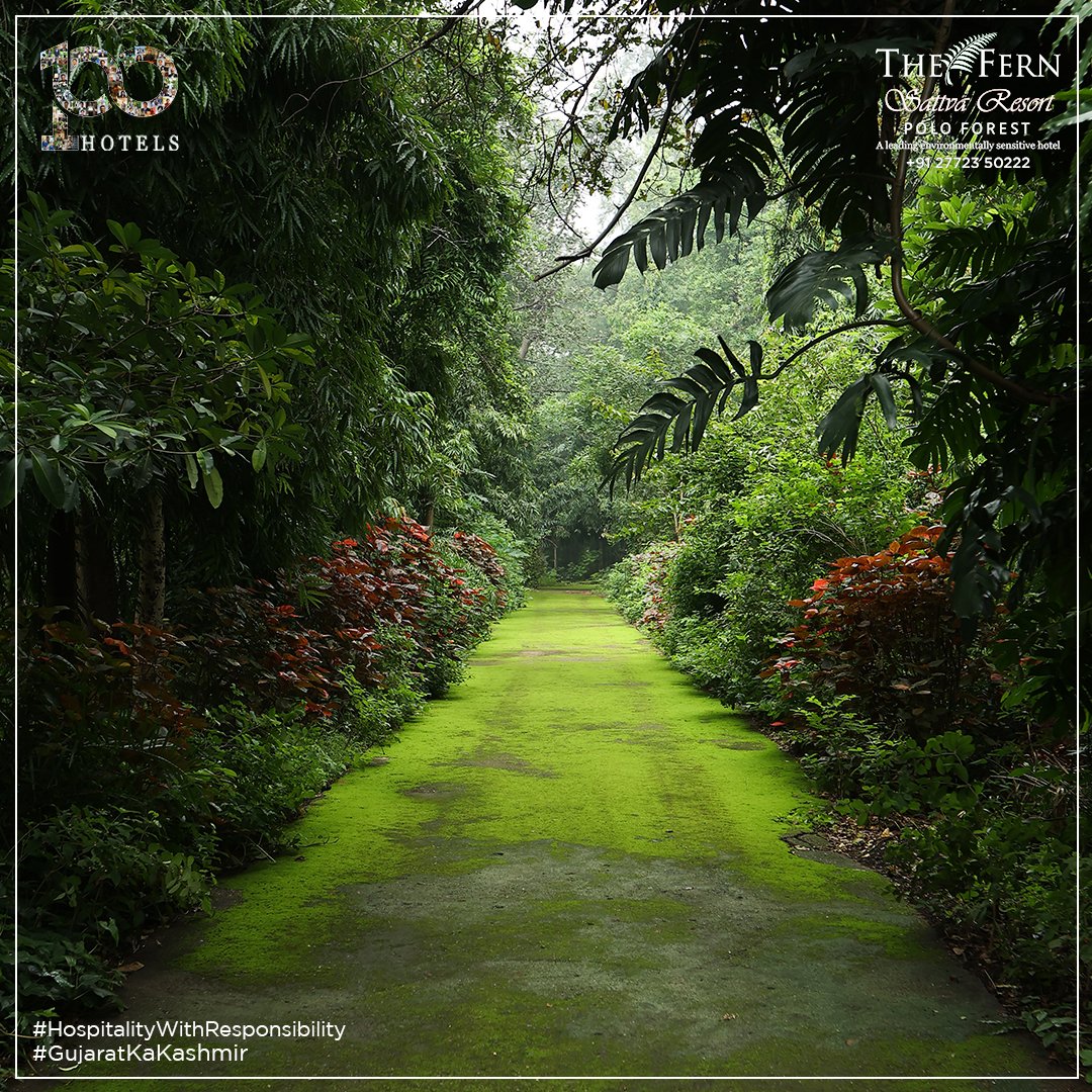 FernPoloForest's tweet photo. Lose yourself in the beauty of Polo garden.

.

For more info &amp; bookings: Call +91 2772 350222 or visit https://t.co/TW4LM9YWZr

.

#TheFernSattvaResort #FernPolo | #PoloForest | #GujaratKaKashmir | #Ahmedabad |#Rajkot #Vijaynagar | #Gujarat | https://t.co/tQqZOPvinV
