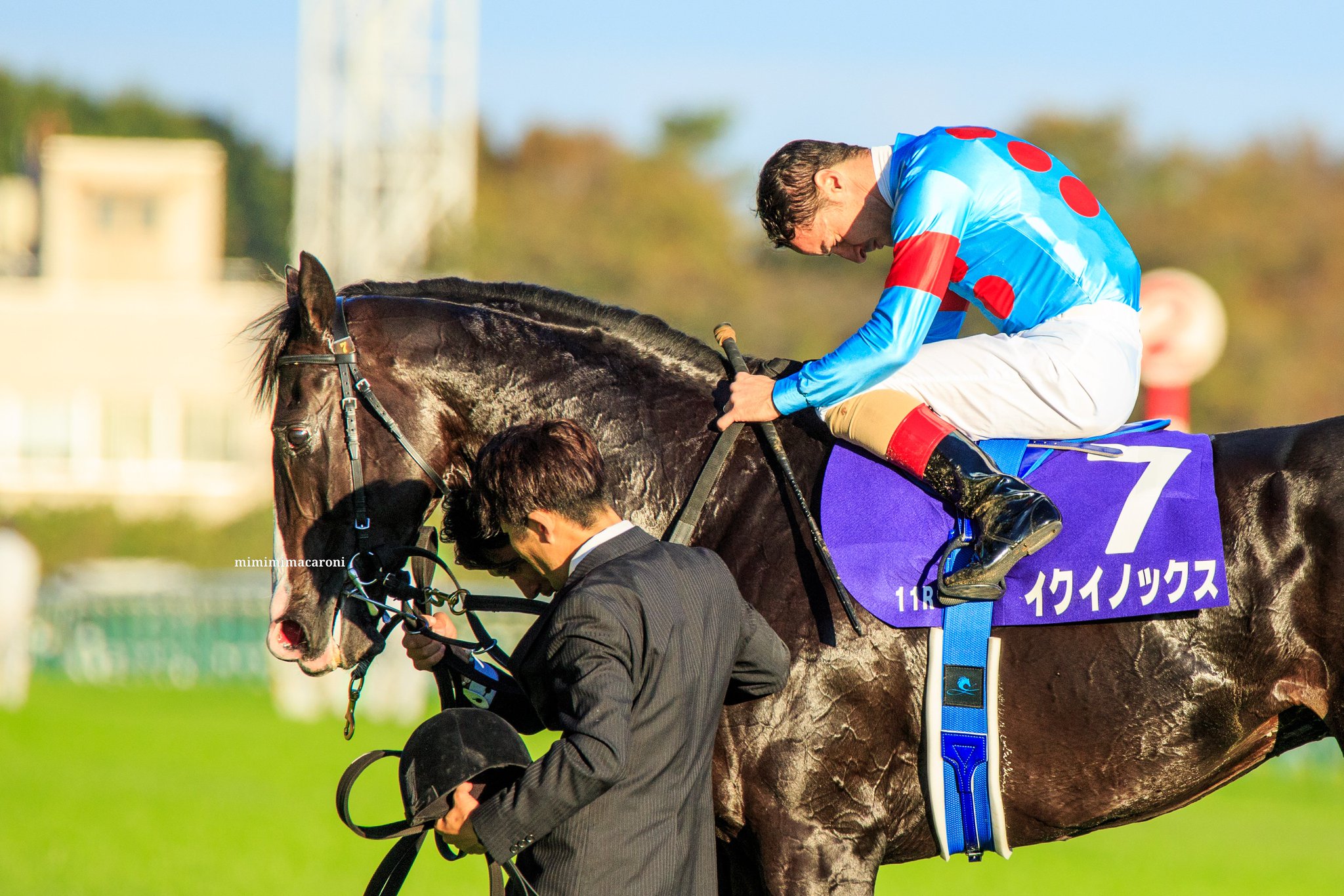 155枚限定　イクイノックス　天皇賞　ルメール　Tシャツ　Mサイズ 155枚限定 イクイノックス 天皇賞 ルメール Tシャツ Mサイズ