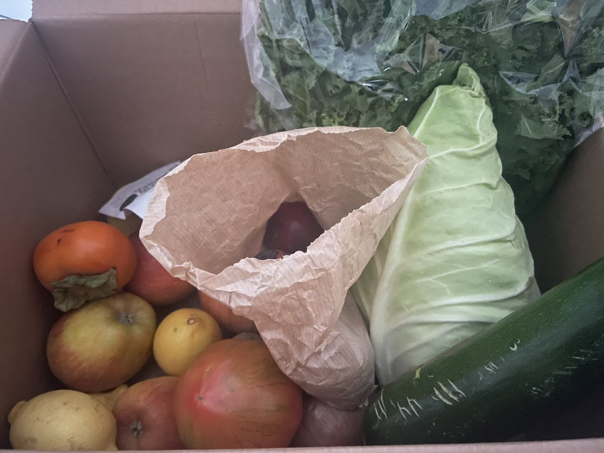 jenniferob81's tweet photo. My first #OddBox delivery arrived overnight. Itโs been a while since I made minestrone soup but thatโs what is calling on this very autumnal morning.
(NPQ work avoidance is also at play here!) ๐ ๐ฅฆ ๐ฅฌ https://t.co/vFpehOhXRs