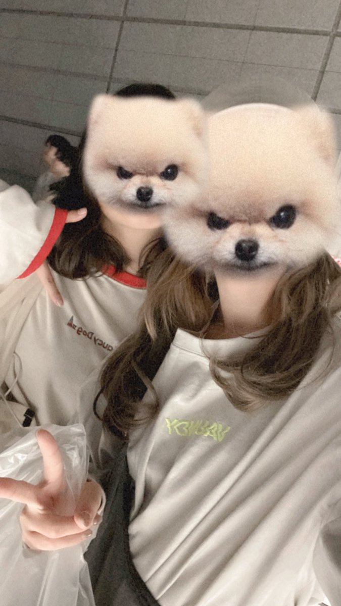 maaar_vuvu's tweet image. 昨日のばうとさうしー最高だった!!

最初のVaundy登場から鳥肌立ってたし、私の好きな裸の勇者聴けてめちゃめちゃ良かった〜☺️
しわあわせとかも改めてすごすぎ、最後の叫びはえぐすぎるよ

さうしーも久々にいつか聴けたし怪物たちよがやばかったよ😩

 #Vaundy  #Saucy Dog 
 #BETTERVIBES