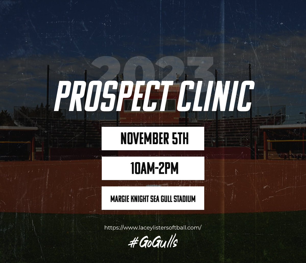 We are just one week away from our last fall clinic! Sign up and get a chance to see what we're all about ➡️ laceylistersoftball.com. We would love to see you there! #GoGulls