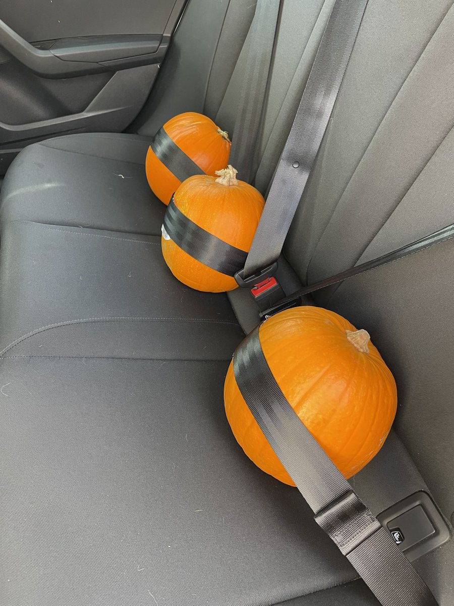 “Gotta keep the pumpkins safe” as my son helps me puts the grocery shopping in the car! #pumpkins #Halloween2023