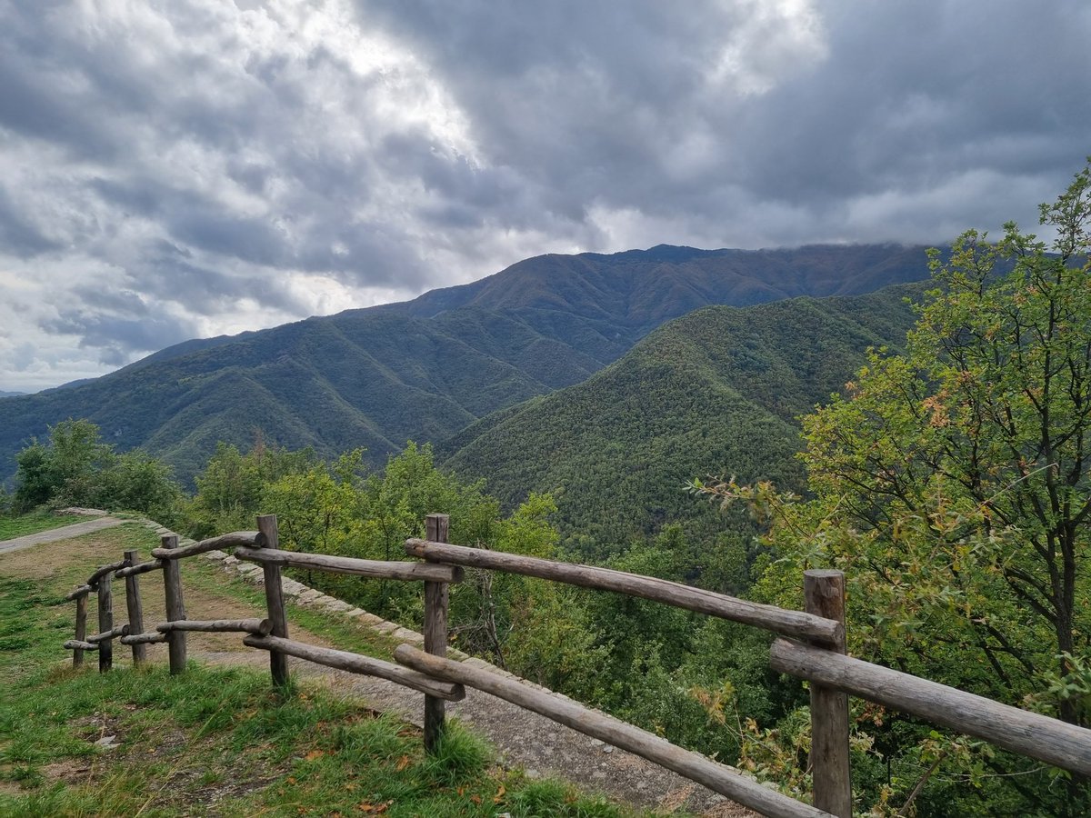 DTownsendHist's tweet image. 2500m above sea level in the Italian alps on a vineyard having a very peaceful autumn break. Have a wonderful well earned break to everyone I have the pleasure of working with and in collaboration with out there. #MountainAir #PeaceAndQuiet