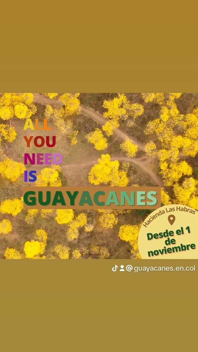 GuayacanColimes's tweet photo. 🌼¡Los guayacanes han florecido!🌼
Desde este 1 de noviembre y durante todo el feriado, seremos testigos de este majestuoso evento natural que ocurre con las primeras lluvias de la temporada. 

Te dejamos la ubicación🔻
https://t.co/WYzKz7nDqx

#Colimes  #Guayas #Turismo https://t.co/p4UZ32Lmvk