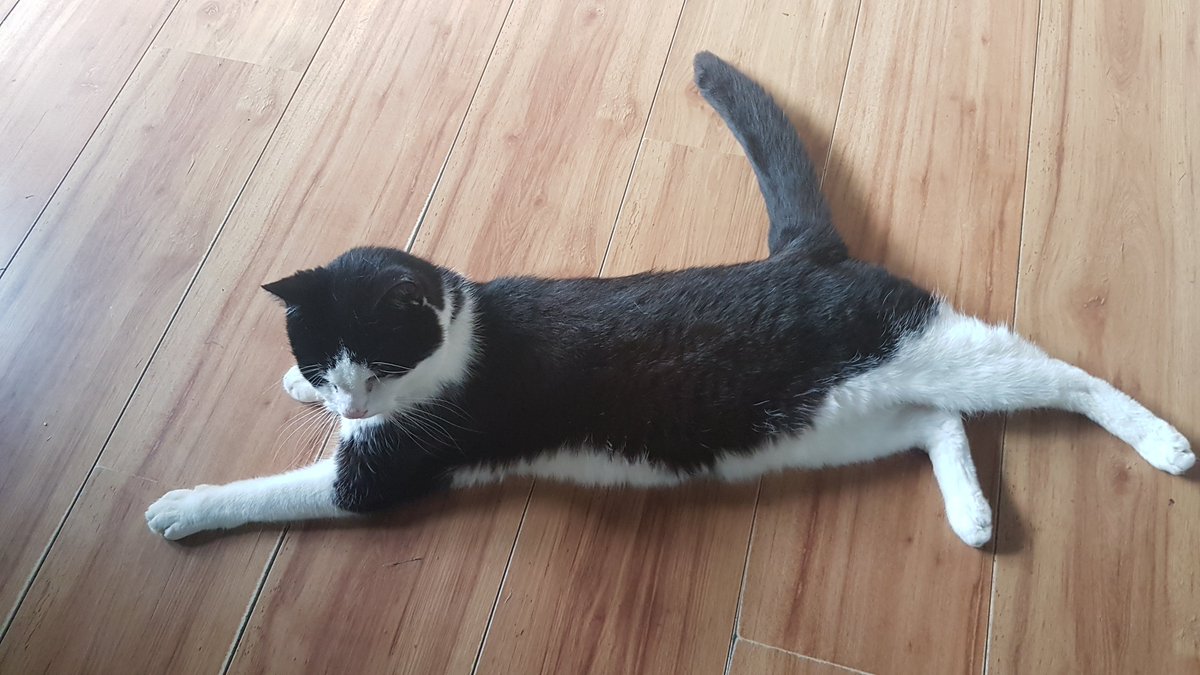 ceeboots tweet picture