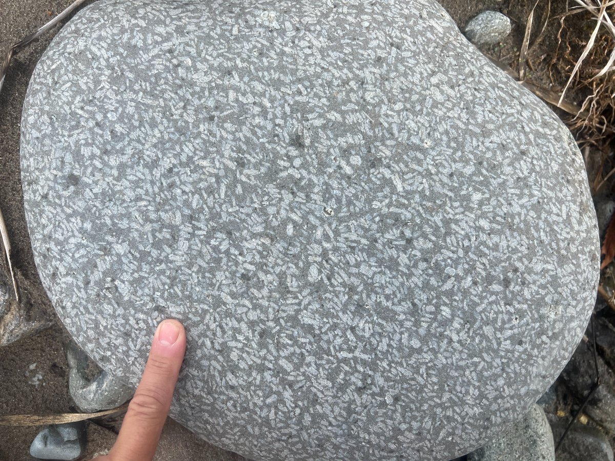 Tomo_Morishita_MantleLab tweet media