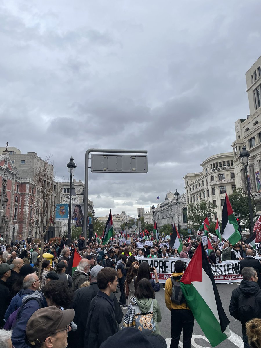 MorenoG_Agustin's tweet photo. Madrid, #29Octubre Se confirma la previsión: gran manifestación de varias decenas de miles de personas en solidaridad con Palestina y contra el genocidio de Netanyahu en Gaza. ¡¡No es una guerra, es un genocidio!!
 #StopGazaGenocide
#FreePalastine https://t.co/NPpPgjrvTL