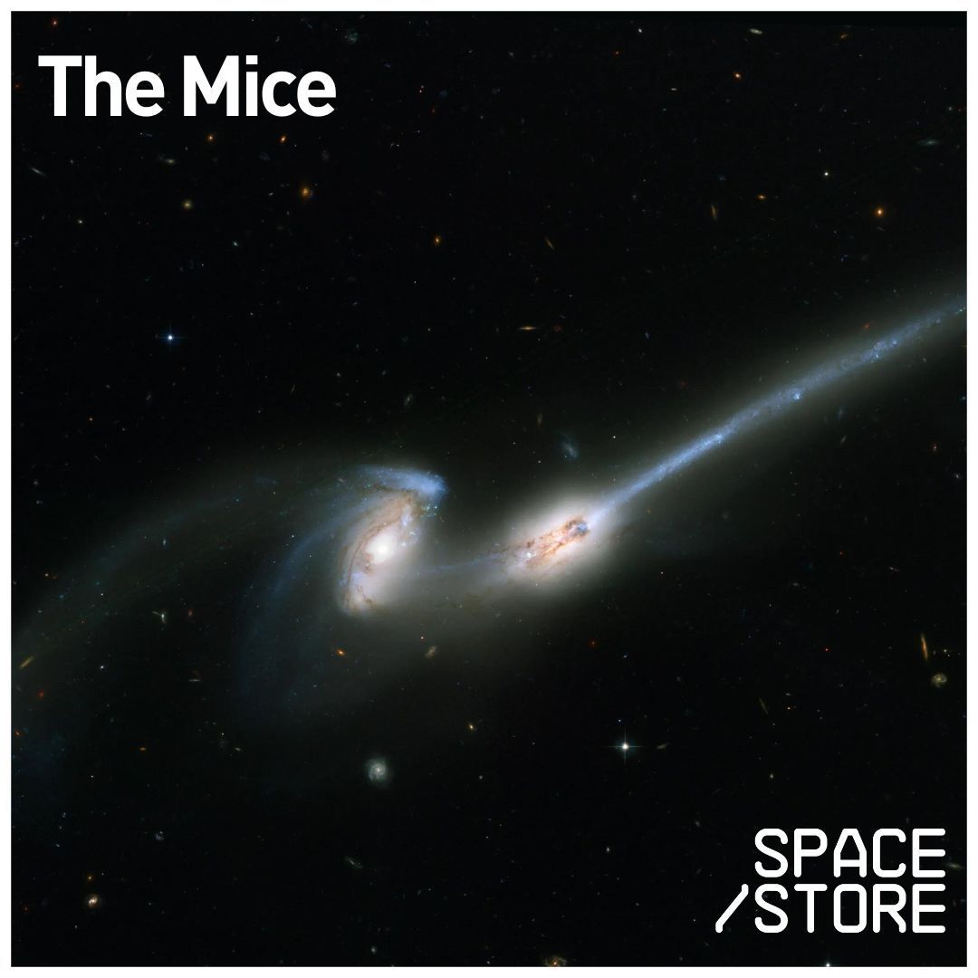 Space Store tweet media
