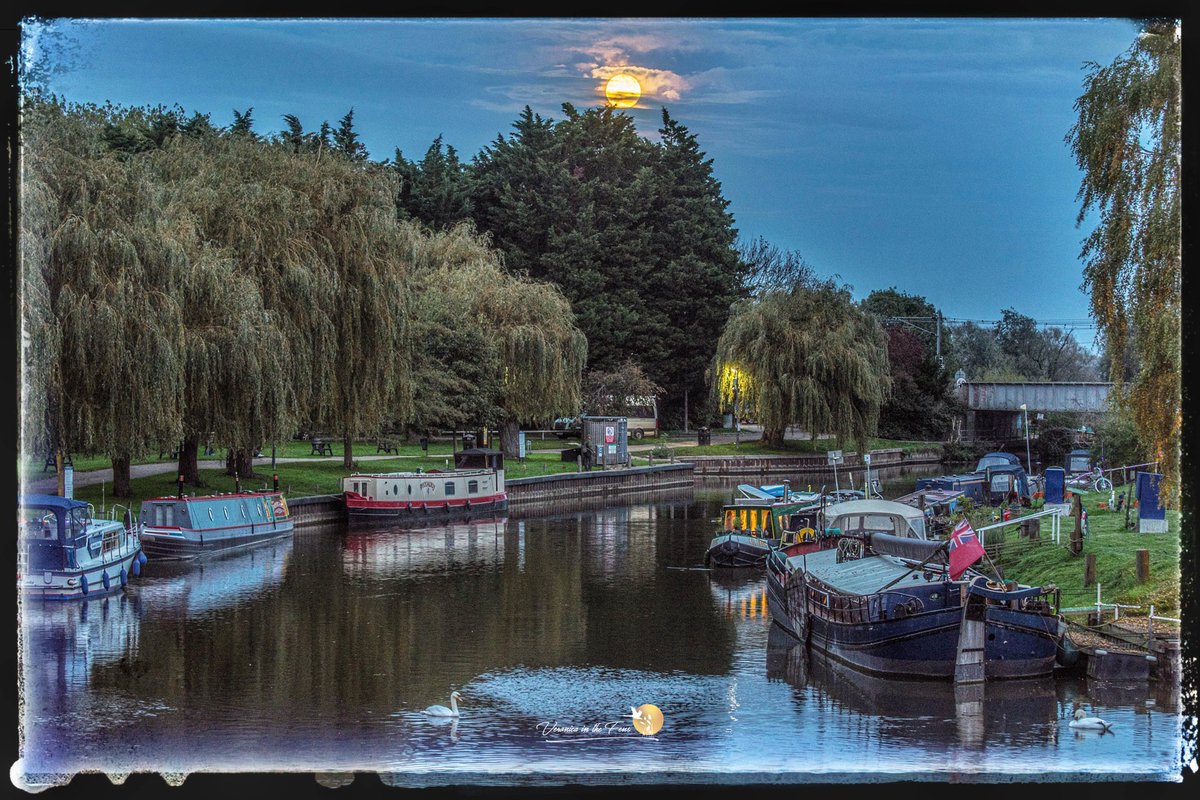 The beautiful Ely riverside with the Hunters Full Moon Saturday the 28th of October 💫🌕💫 #LovEly #HuntersMoon #FullMoon #ElyRiverside #TheFens