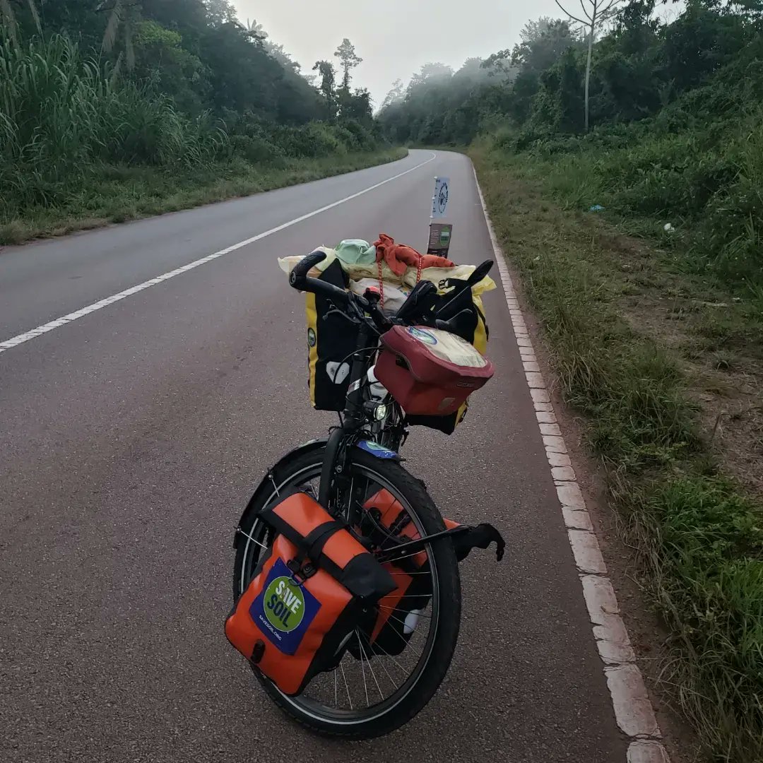 Through the jungle at dawn 4.30am on the road day light sundely giving me a glimpse of the intense life beating all around my way🙏💚🌍🌳🌬 #SaveSoilMovement @cpsavesoil @SadhguruJV