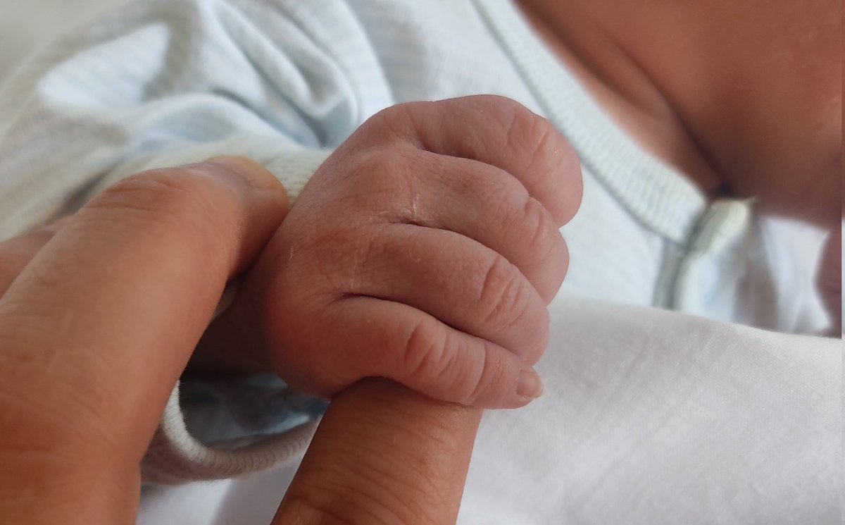 Marcos Amores tweet media