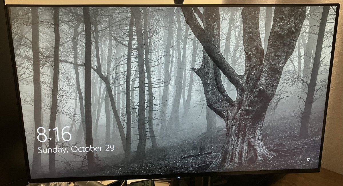 GenesisRider's tweet image. I played Darkwood for the first time yesterday on #XboxSeriesX ….and I wake up to this login screen on my PC the next morning (completely randomized). @TheAcidWizard #Darkwood
