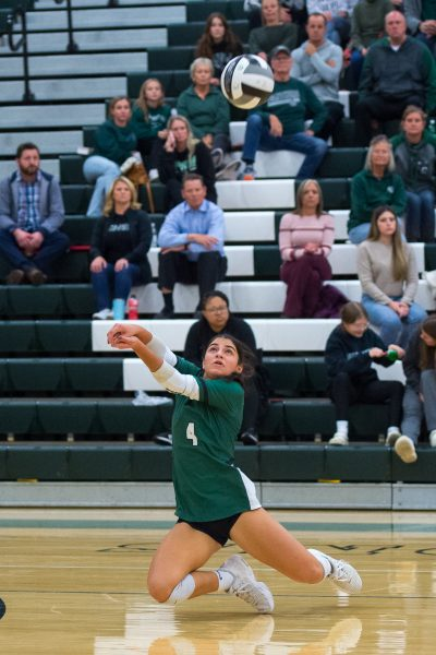 Mark Perez-Krywany tweet media