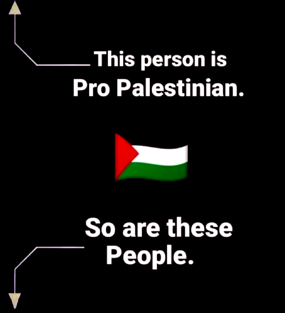 We support Palestine 🇵🇸