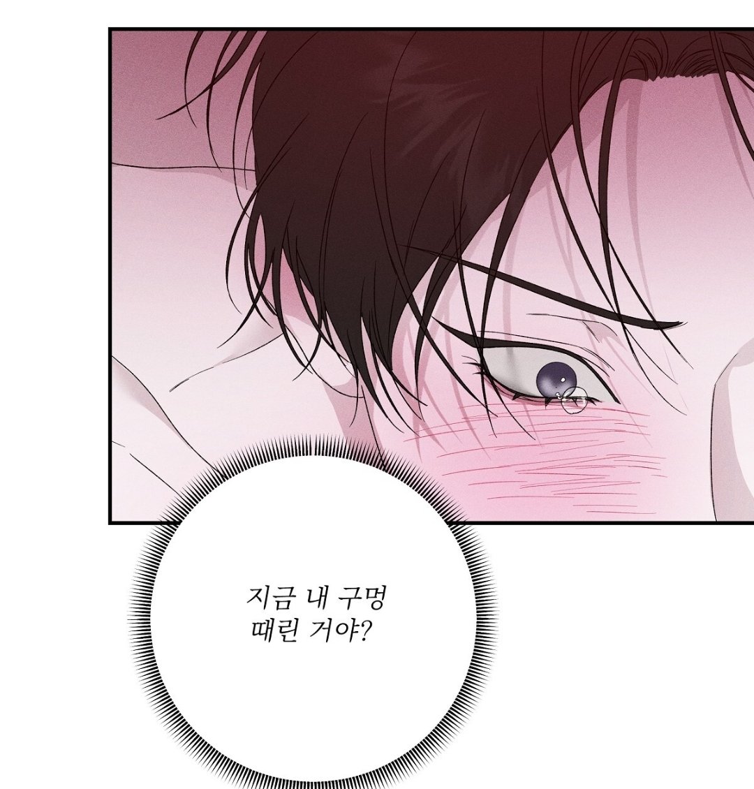 . 진리찐리진리 . tweet media